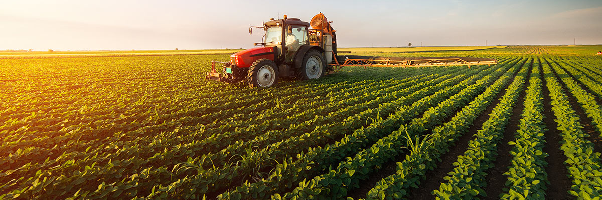 کیفیت در صنعت کشاورزی و تولید مواد غذایی